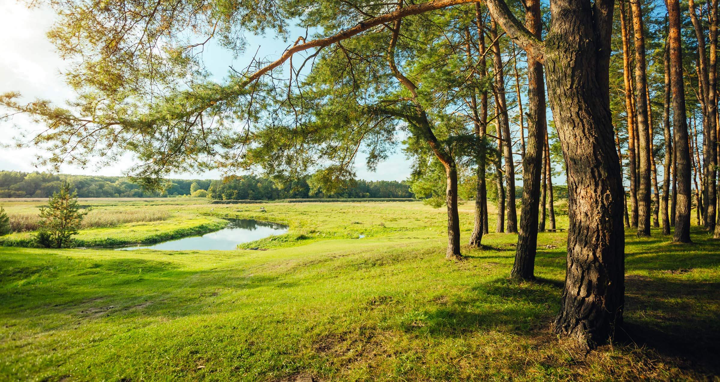 Natuurfoto als kalme setting voor team trainingen