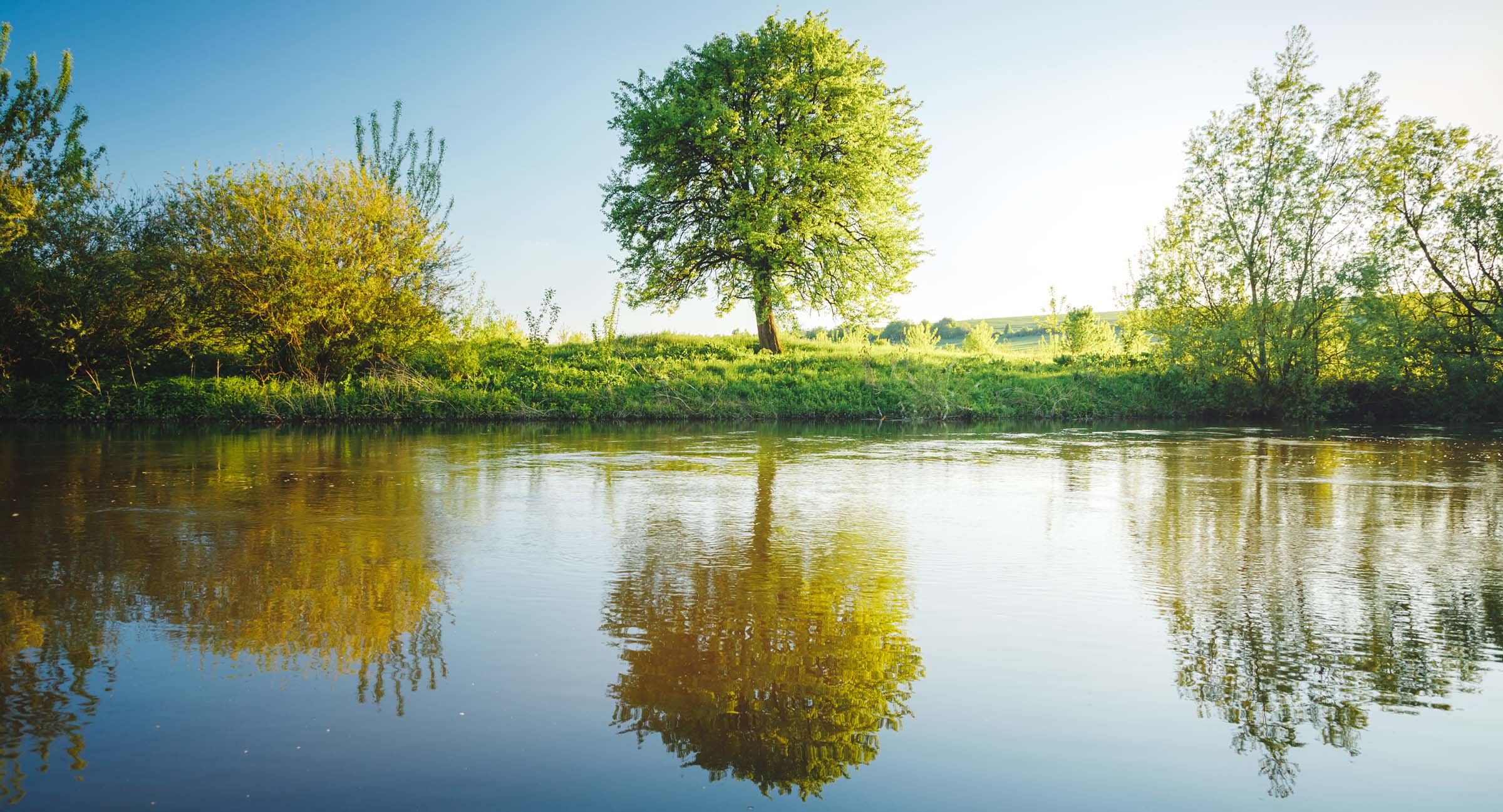 Weerspiegeling natuurlijk als symbool voor een mentor die een spiegel voorhoudt